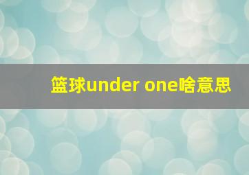 篮球under one啥意思